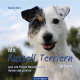  - Parson- und Jack Russell Terrier: Große Hunde im kleinen Körper