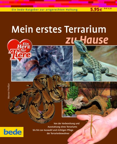  - Mein erstes Terrarium zu Hause