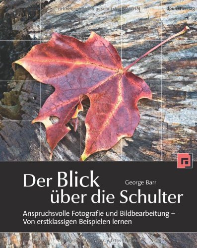  - Der Blick über die Schulter: Anspruchsvolle Fotografie und Bildbearbeitung - Von erstklassigen Beispielen lernen