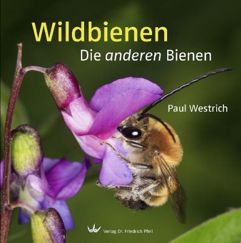  - Wildbienen: Die anderen Bienen