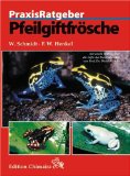  - Der Färberfrosch - Dendrobates tinctorius