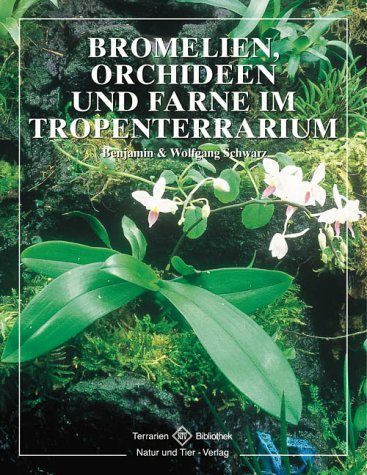  - Bromelien, Orchideen und Farne im Tropenterrarium