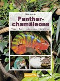  - Das Pantherchamäleon: Furcifer pardalis