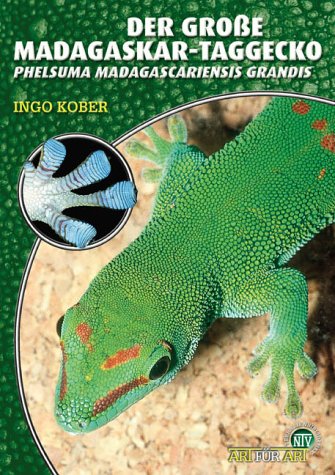  - Der Große Madagaskar Taggecko. Phelsuma madagascariensis grandis