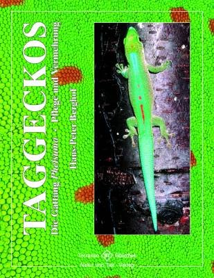  - Taggeckos: Die Gattung Phelsuma - Pflege und Vermehrung