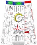  - EKG Lineal professional