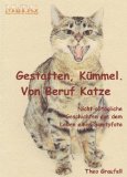  - Klappohrkatze: Wie ich vom Katzenhasser zum Dosenöffner wurde