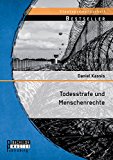  - Gerechter Tod? Die Todesstrafe: Analyse der Todesstrafe anhand ihrer Durchführung, ihres biblischen Hintergrunds und Versuchen der Rechtfertigung