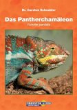  - Das Pantherchamäleon: Furcifer pardalis