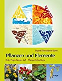  - Traditionelle Europäische Medizin: Das große Praxisbuch der westlichen Heilkunst